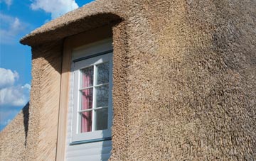 Trewint thatch roof disadvantages